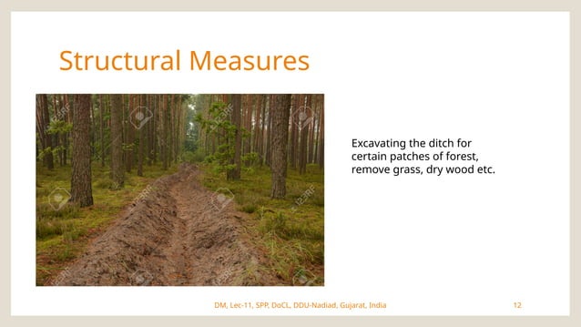 Lec 11 Forest Fire Disaster Management Pptx