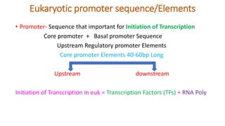 Eukaryotic promoter sequence/Elements
• Promoter- Sequence that important for Initiation of Transcription
Core promoter + Basal promoter Sequence
Upstream Regulatory promoter Elements
Core promoter Elements 40-60bp Long
Upstream downstream
Initiation of Transcription in euk = Transcription Factors (TFs) + RNA Poly
 