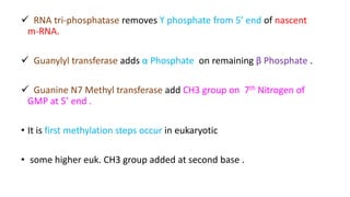  RNA tri-phosphatase removes ϒ phosphate from 5’ end of nascent
m-RNA.
 Guanylyl transferase adds α Phosphate on remaining β Phosphate .
 Guanine N7 Methyl transferase add CH3 group on 7th Nitrogen of
GMP at 5’ end .
• It is first methylation steps occur in eukaryotic
• some higher euk. CH3 group added at second base .
 