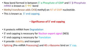 • Now bond formed in between 5’ α Phosphate of GMP and 5’ β Phosphate
mRNA is known as 5’5’ bond
• Methyl transferase adds CH3( methyl) on N7 of GMP nucleotide.
• This is known as 5’ end capping.
• Significance of 5’ end capping
• It protects mRNA from Degradation
• 5’ end capping is necessary for Nuclear export signal (NES)
• 5’ end capping is necessary for Translation
• It provide stability and transport
• Splicing (Pre-mRNA Processing) and 40 s ribosome bind on 5’ cap.
 