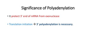 Significance of Polyadenylation
• It protect 3’ end of mRNA From exonuclease
• Translation initiation  3’ polyadenylation is necessary.
 