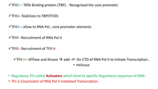 TFIID – TATA Binding protein (TBP) . Recognized the core promoter.
TFIIA- Stabilizes to TBP(TFIID)
TFIIB – allow to RNA Pol , core promoter elements
TFIIF- Recruitment of RNA Pol II
TFIIE- Recruitment of TFII H.
TFII H– ATPase and Kinase  add –P- On CTD of RNA Pol II to Initiate Transcription..
• Helicase
• Regulatory TFs called Activators which bind to specific Regulatory sequence of DNA .
• TFs is Coactivator of RNA Pol II mediated Transcription.
 