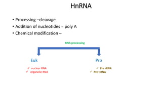 HnRNA
• Processing –cleavage
• Addition of nucleotides = poly A
• Chemical modification –
Euk Pro
RNA processing
 nuclear RNA
 organelle RNA
 Pre rRNA
 Pre t RNA
 