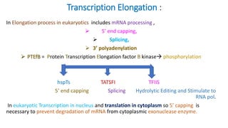 Transcription Elongation :
In Elongation process in eukaryotics includes mRNA processing ,
 5’ end capping,
 Splicing,
 3’ polyadenylation
 PTEfB = Protein Transcription Elongation factor B kinase phosphorylation
hspTs TATSFI TFIIS
5’ end capping Splicing Hydrolytic Editing and Stimulate to
RNA pol.
In eukaryotic Transcription in nucleus and translation in cytoplasm so 5’ capping is
necessary to prevent degradation of mRNA from cytoplasmic exonuclease enzyme.
 