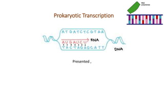 Prokaryotic Transcription
Presented ,
 