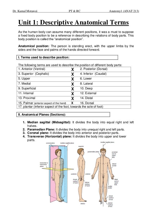 Lec.1 3,descriptive anatomicaltermsptrc