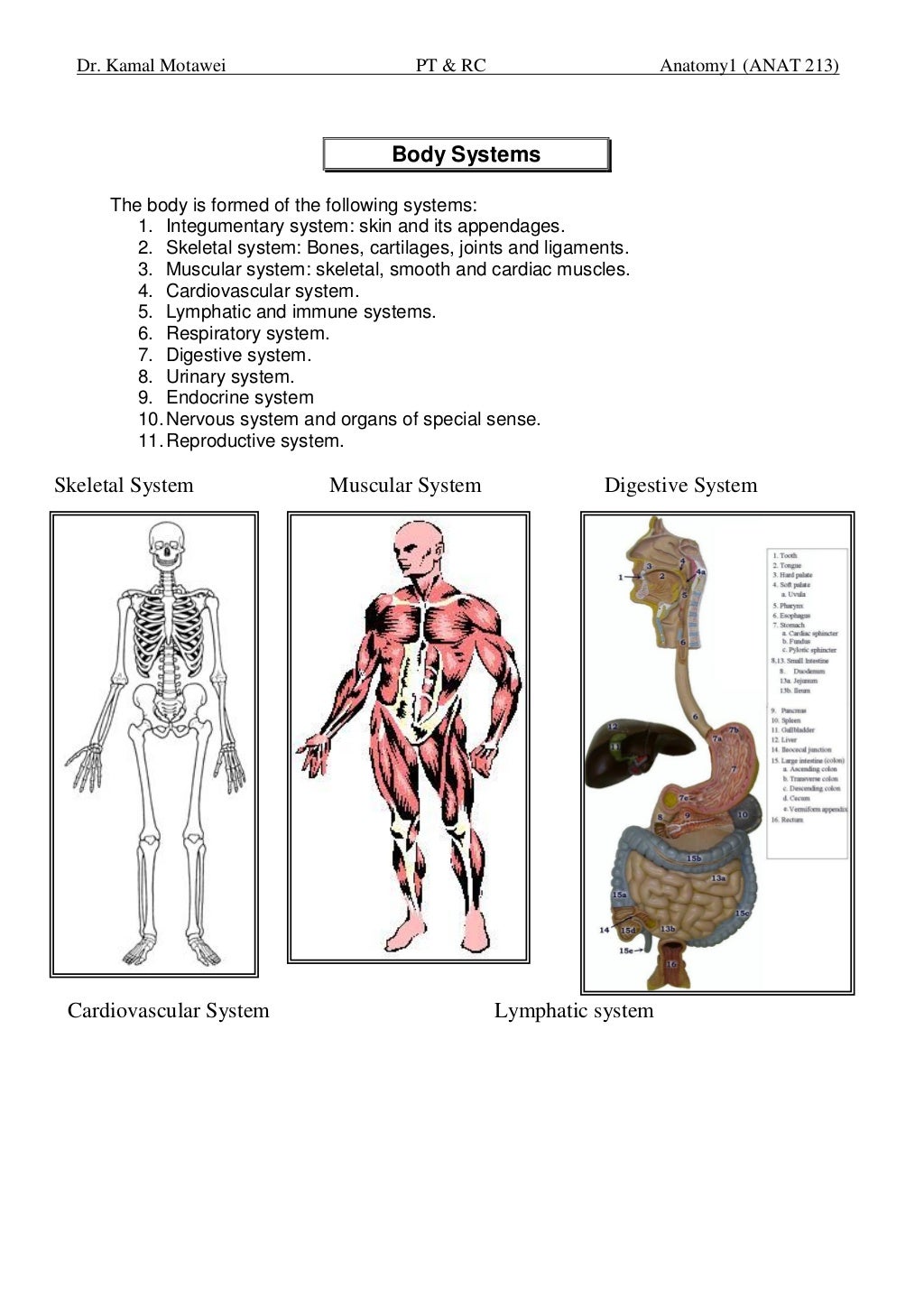 Lec.1 3;descriptive anatomical-terms-pt-rc
