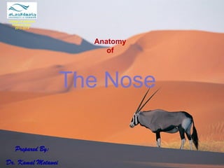 Anatomy of 
The Nose 
Prepared By: Dr. Kamal Motawei 
College of Medicine 
Anatomy Dept. 
2013-2014  