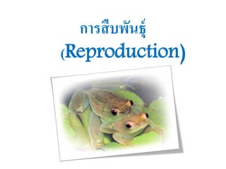 การสืบพันธุ์
(Reproduction)
 