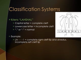 lec-170530173925.ppt CLEFT LIP AND PALATE LECTURE | PPT