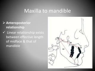 Maxilla to mandible
 Anteroposterior
relationship
 Linear relationship exists
between effective length
of midface & that of
mandible
 