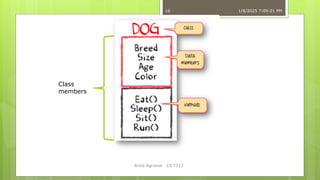 Lec-1B. Intro to object oriented programming language | PDF