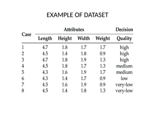 EXAMPLE OF DATASET
 