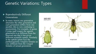 Genetic Variations: Types
 Reproductively Different
Generations
 In many insects one generation
alternates the other generation and
each generation differs from one
another, this is very confusing to
taxonomists. For example, in genus
Cynips (gall wasps) the agamic
generation is so different from the
bisexual one that it has given
different scientific names. Similarly
in the aphids (plant lice) the
parthenogenetic wingless females ae
very different from the winged
females of sexual generation.
 