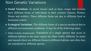 Non Genetic Variations
 Social Variations: In social insects such as bees, wasps and termites
have different forms of individuals in their colonies (Queen, Worker,
Drone and soldier). These different forms are due to different food or
hormonal control.
 Ecological Variations: The different forms of a species produced due to
different environmental conditions. It may be of the following types.
 Habitat Variations (Ecophenotypic): Population of a single species that occur in
different habitats in the same region are often visibly different. In snails
and mussels there are different forms in different habitats and often they
are considered as different species.
 