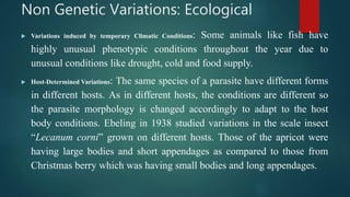 Non Genetic Variations: Ecological
 Variations induced by temporary Climatic Conditions: Some animals like fish have
highly unusual phenotypic conditions throughout the year due to
unusual conditions like drought, cold and food supply.
 Host-Determined Variations: The same species of a parasite have different forms
in different hosts. As in different hosts, the conditions are different so
the parasite morphology is changed accordingly to adapt to the host
body conditions. Ebeling in 1938 studied variations in the scale insect
“Lecanum corni” grown on different hosts. Those of the apricot were
having large bodies and short appendages as compared to those from
Christmas berry which was having small bodies and long appendages.
 