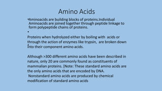 Amino Acids
•
•
•
Aminoacids are building blocks of proteins.Individual
Aminoacids are joined together through peptide linkage to
form polypeptide chains of proteins.
Proteins when hydrolyzed either by boiling with acids or
through the action of enzymes like trypsin, are broken down
into their component amino acids.
Although >300 different amino acids have been described in
nature, only 20 are commonly found as constituents of
mammalian proteins. [Note: These standard amino acids are
the only amino acids that are encoded by DNA.
Nonstandard amino acids are produced by chemical
modification of standard amino acids
 