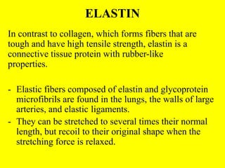 ELASTIN
In contrast to collagen, which forms fibers that are
tough and have high tensile strength, elastin is a
connective tissue protein with rubber-like
properties.
- Elastic fibers composed of elastin and glycoprotein
microfibrils are found in the lungs, the walls of large
arteries, and elastic ligaments.
- They can be stretched to several times their normal
length, but recoil to their original shape when the
stretching force is relaxed.
 