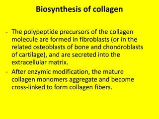 Biosynthesis of collagen
- The polypeptide precursors of the collagen
molecule are formed in fibroblasts (or in the
related osteoblasts of bone and chondroblasts
of cartilage), and are secreted into the
extracellular matrix.
- After enzymic modification, the mature
collagen monomers aggregate and become
cross-linked to form collagen fibers.
 