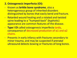 2. Osteogenesis imperfecta (OI):
- Known as brittle bone syndrome, also a
heterogeneous group of inherited disorders
distinguished by bones that easily bend and fracture.
- Retarded wound healing and a rotated and twisted
spine leading to a “humped-back” (kyphotic)
appearance are common features of the disease.
- Type I OI called osteogenesis imperfecta tarda,
consequence of decreased production of α1 and α2
chains.
- Presents in early infancy with fractures secondary to
minor trauma, and may be suspected if prenatal
ultrasound detects bowing or fractures of long bones.
 