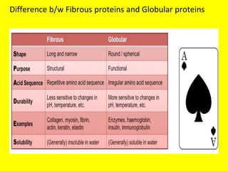 Difference b/w Fibrous proteins and Globular proteins
 
