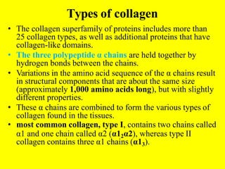 Types of collagen
• The collagen superfamily of proteins includes more than
25 collagen types, as well as additional proteins that have
collagen-like domains.
• The three polypeptide α chains are held together by
hydrogen bonds between the chains.
• Variations in the amino acid sequence of the α chains result
in structural components that are about the same size
(approximately 1,000 amino acids long), but with slightly
different properties.
• These α chains are combined to form the various types of
collagen found in the tissues.
• most common collagen, type I, contains two chains called
α1 and one chain called α2 (α12α2), whereas type II
collagen contains three α1 chains (α13).
 