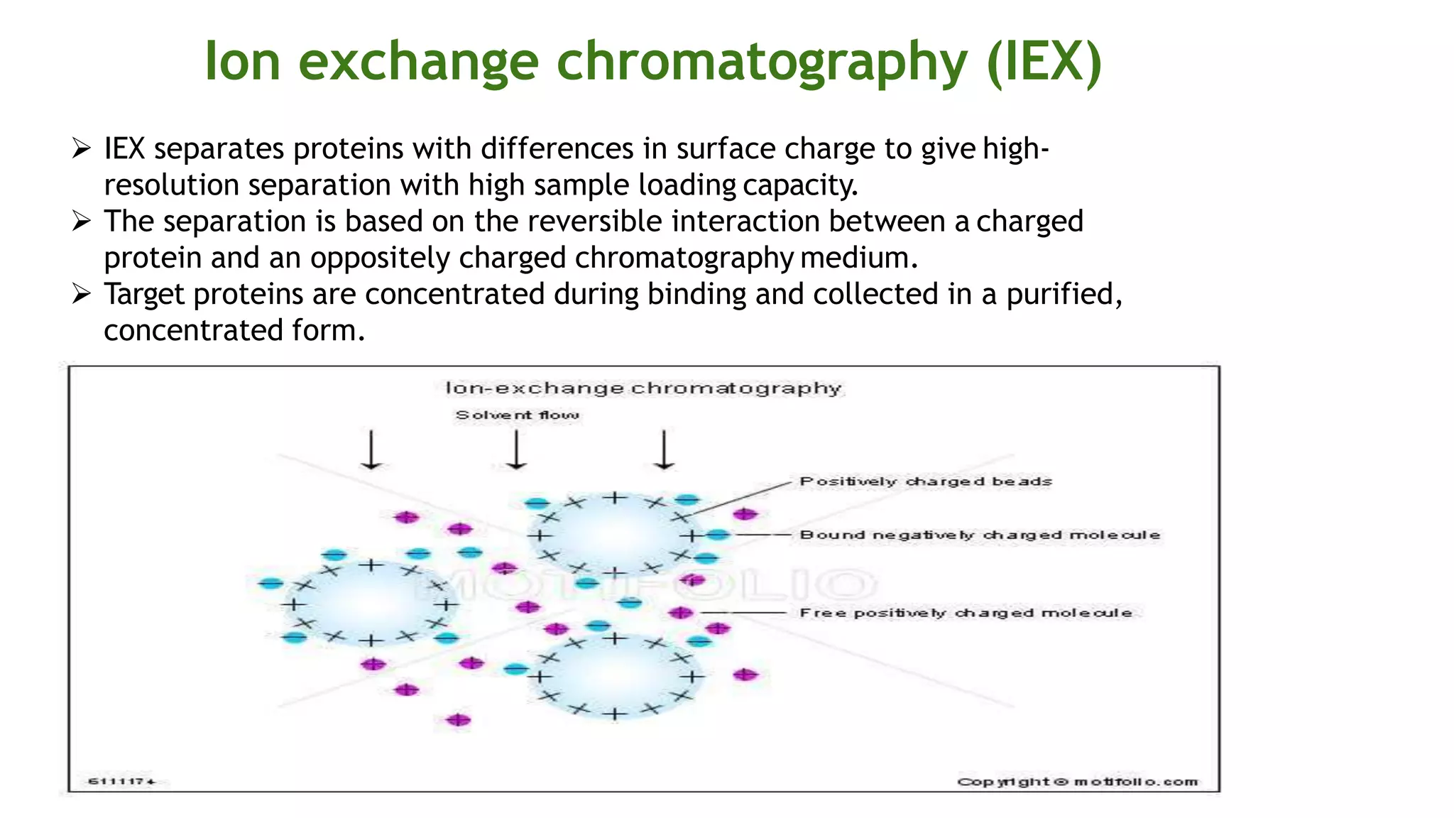 Ion exchange chromatography (IEX)
 IEX separates proteins with differences in surface charge to give high-
resolution separation with high sample loading capacity.
 The separation is based on the reversible interaction between a charged
protein and an oppositely charged chromatography medium.
 Target proteins are concentrated during binding and collected in a purified,
concentrated form.
 