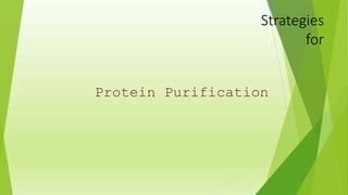 Strategies
for
Protein Purification
 