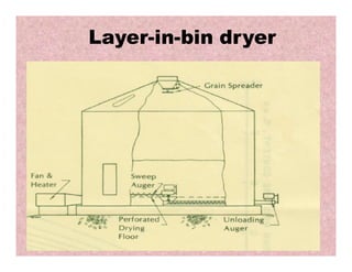 Layer-in-bin dryer
 