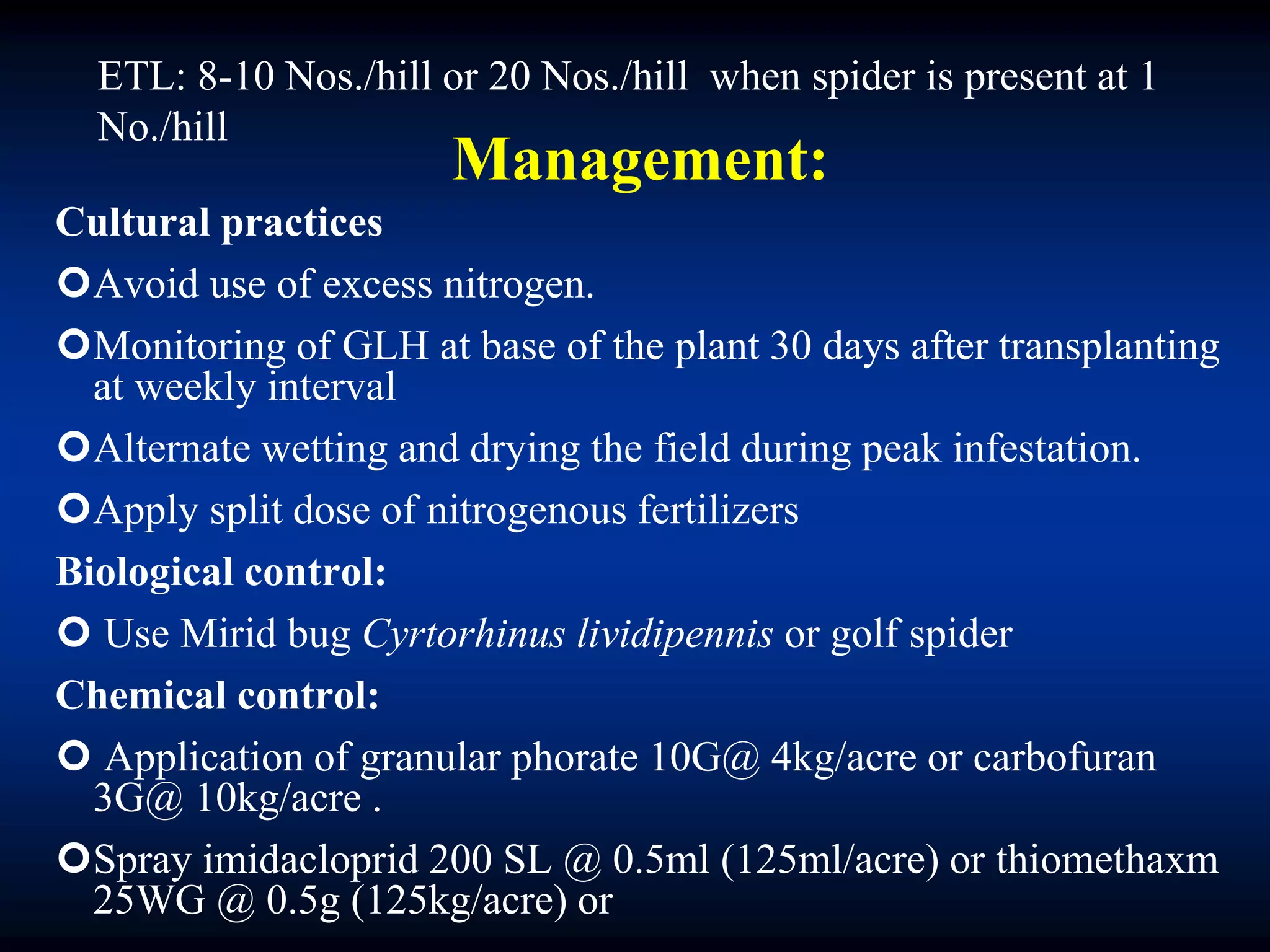 Management:
Cultural practices
Avoid use of excess nitrogen.
Monitoring of GLH at base of the plant 30 days after transplanting
at weekly interval
Alternate wetting and drying the field during peak infestation.
Apply split dose of nitrogenous fertilizers
Biological control:
 Use Mirid bug Cyrtorhinus lividipennis or golf spider
Chemical control:
 Application of granular phorate 10G@ 4kg/acre or carbofuran
3G@ 10kg/acre .
Spray imidacloprid 200 SL @ 0.5ml (125ml/acre) or thiomethaxm
25WG @ 0.5g (125kg/acre) or
ETL: 8-10 Nos./hill or 20 Nos./hill when spider is present at 1
No./hill
 