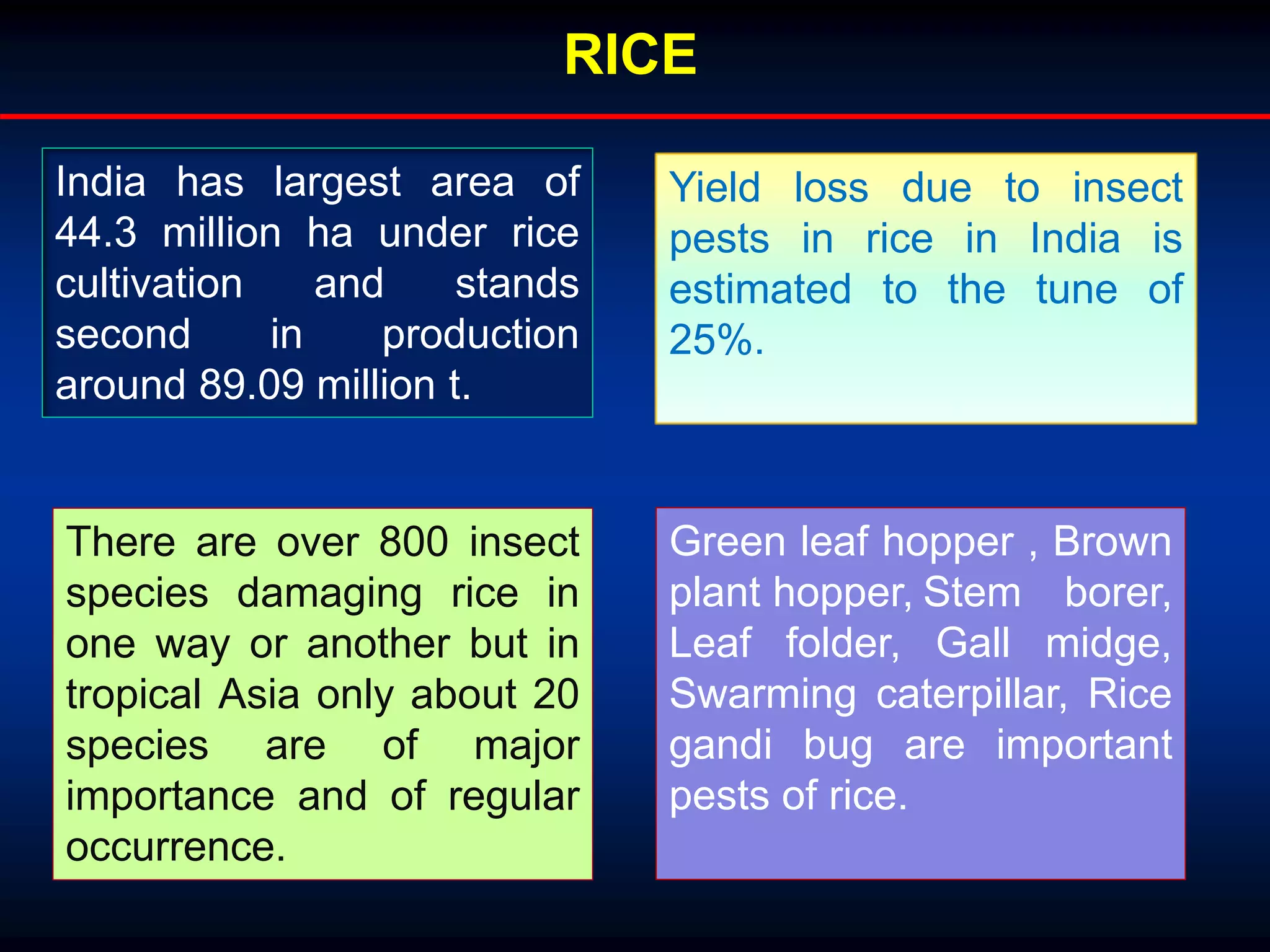 RICE
India has largest area of
44.3 million ha under rice
cultivation and stands
second in production
around 89.09 million t.
Yield loss due to insect
pests in rice in India is
estimated to the tune of
25%.
There are over 800 insect
species damaging rice in
one way or another but in
tropical Asia only about 20
species are of major
importance and of regular
occurrence.
Green leaf hopper , Brown
plant hopper, Stem borer,
Leaf folder, Gall midge,
Swarming caterpillar, Rice
gandi bug are important
pests of rice.
 