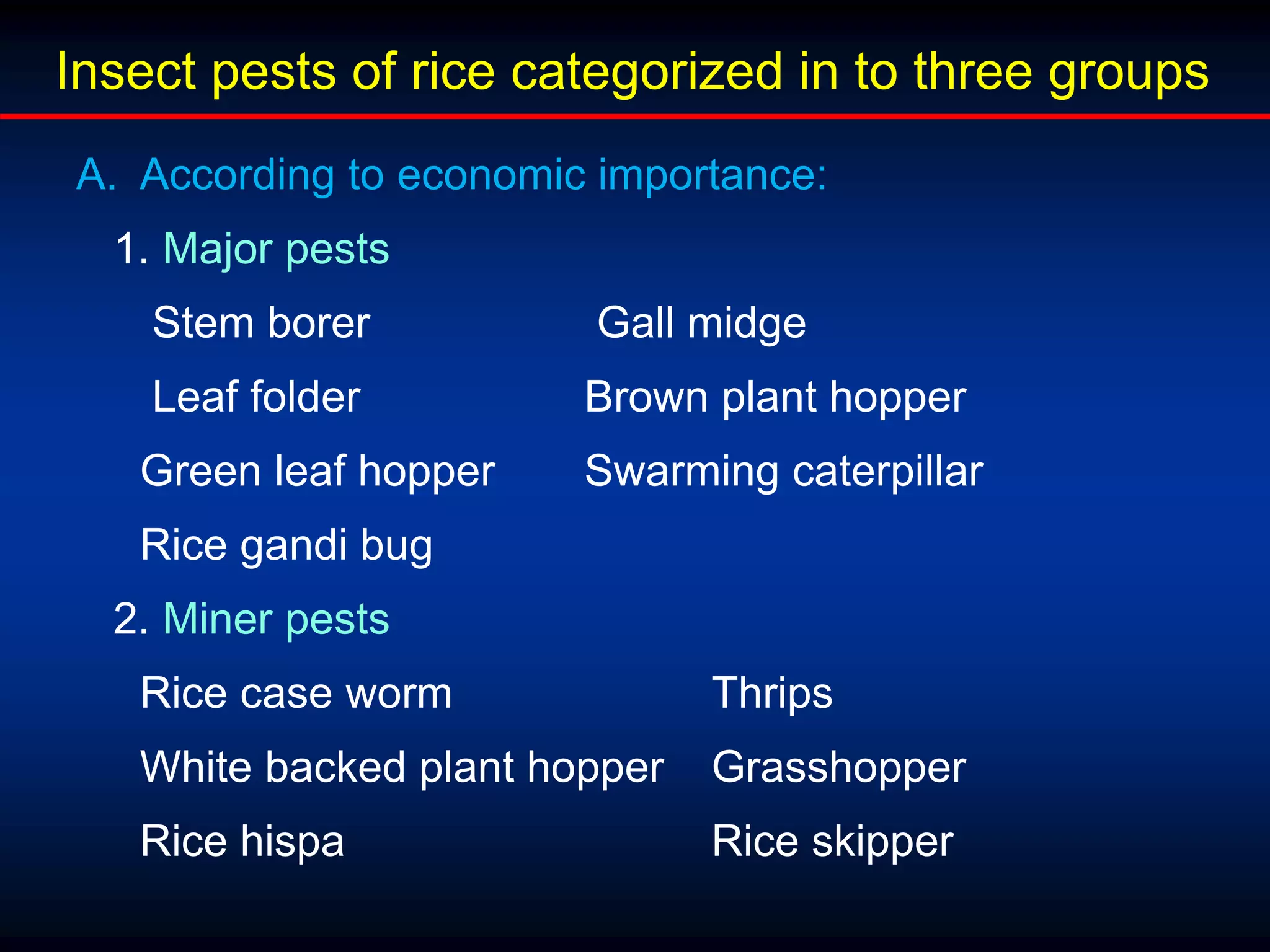A. According to economic importance:
1. Major pests
Stem borer Gall midge
Leaf folder Brown plant hopper
Green leaf hopper Swarming caterpillar
Rice gandi bug
2. Miner pests
Rice case worm Thrips
White backed plant hopper Grasshopper
Rice hispa Rice skipper
Insect pests of rice categorized in to three groups
 