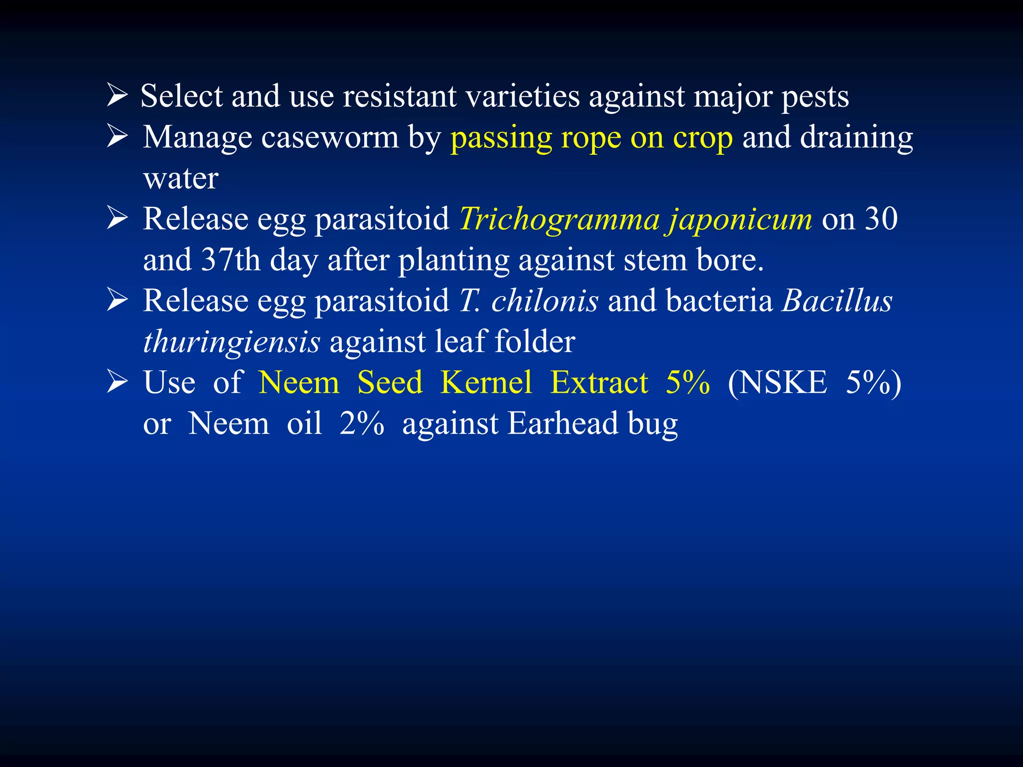  Select and use resistant varieties against major pests
 Manage caseworm by passing rope on crop and draining
water
 Release egg parasitoid Trichogramma japonicum on 30
and 37th day after planting against stem bore.
 Release egg parasitoid T. chilonis and bacteria Bacillus
thuringiensis against leaf folder
 Use of Neem Seed Kernel Extract 5% (NSKE 5%)
or Neem oil 2% against Earhead bug
 