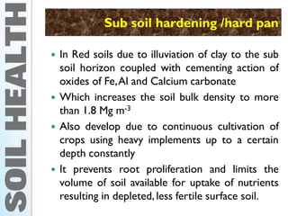 Soil crusting, soil compaction, sub soil hard pan, sand dunes and ...