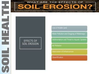 Eroded soil – genesis, types and characteristics water sheet, rill ...