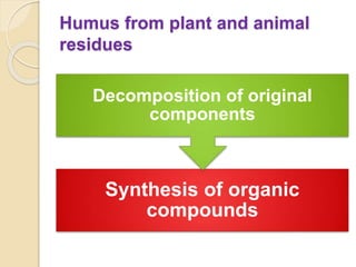 Humic substances | PPTX