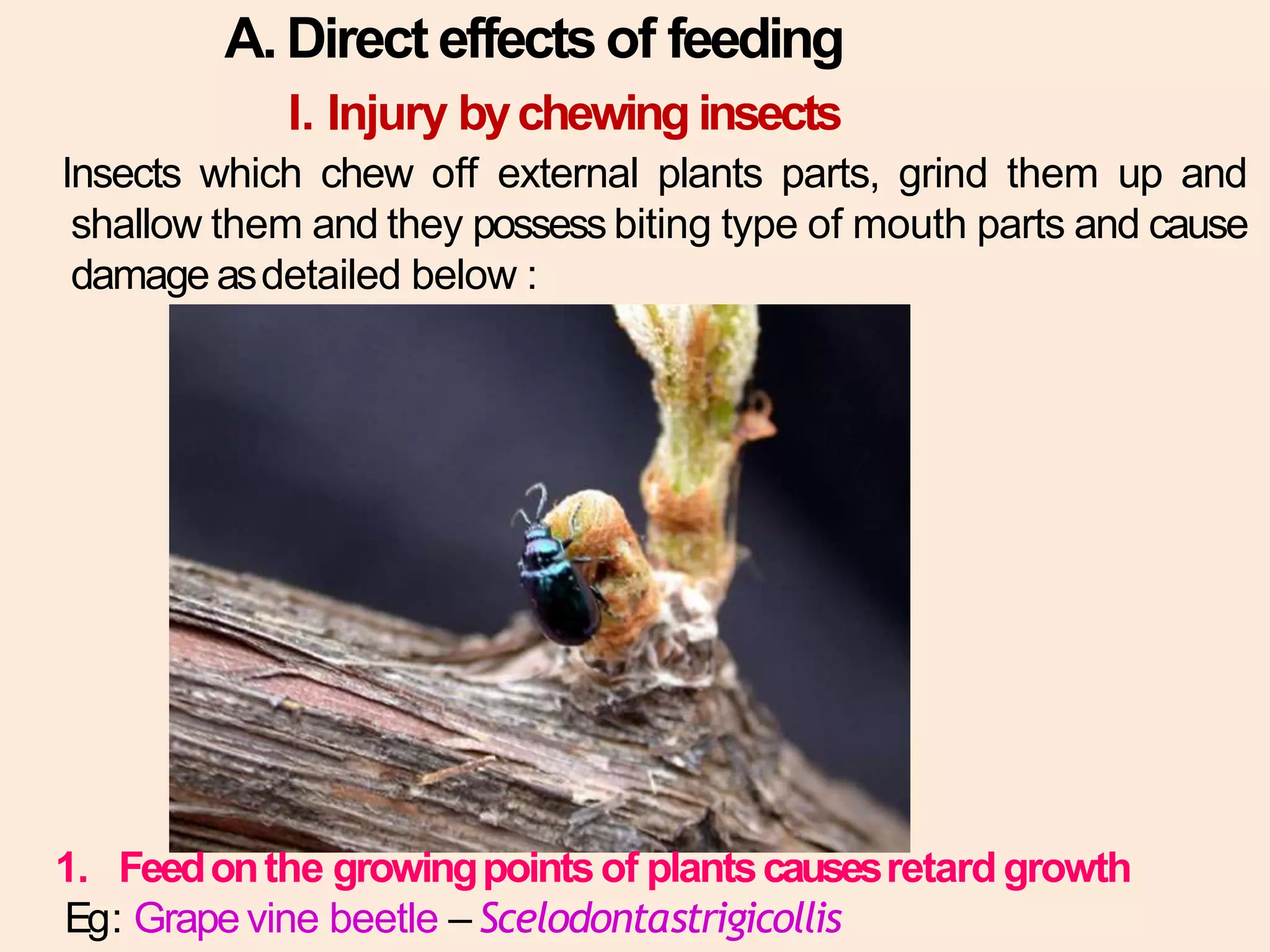 Lec. 1 rkp pcgm_types of damage | PPTX
