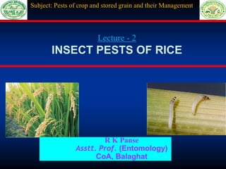 Lecture - 2
INSECT PESTS OF RICE
R K Panse
Asstt. Prof. (Entomology)
CoA, Balaghat
Subject: Pests of crop and stored grain and their Management
 
