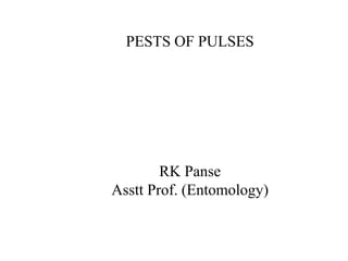 PESTS OF PULSES
RK Panse
Asstt Prof. (Entomology)
 