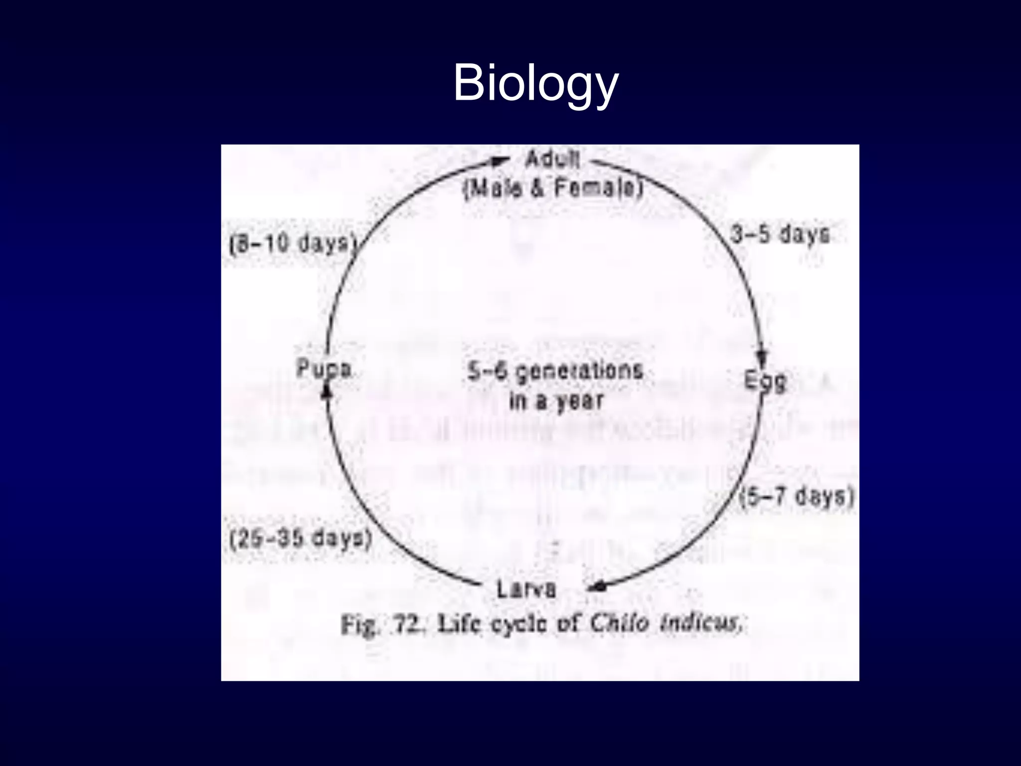 Biology
 
