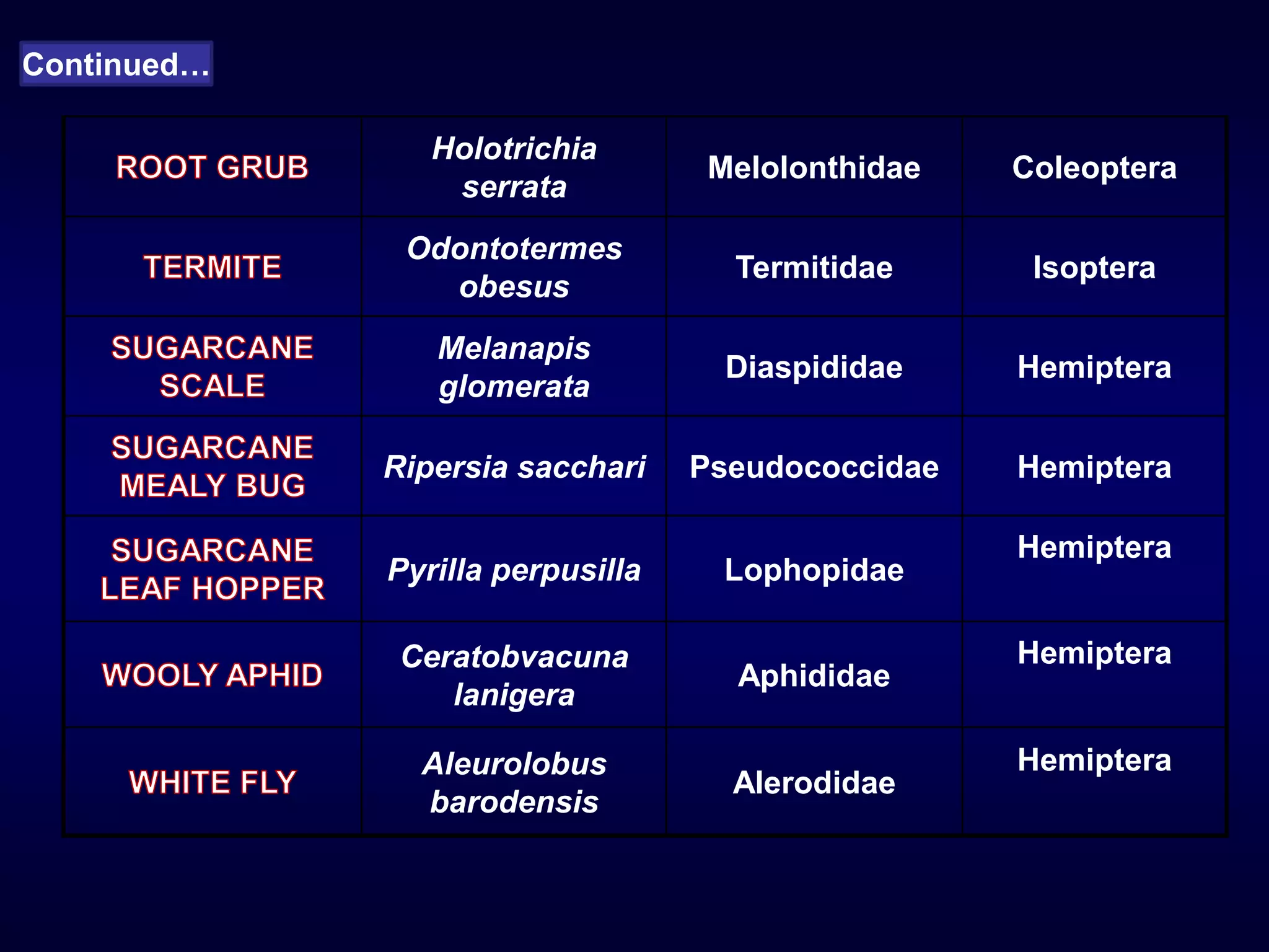 Holotrichia
serrata
Melolonthidae Coleoptera
Odontotermes
obesus
Termitidae Isoptera
Melanapis
glomerata
Diaspididae Hemiptera
Ripersia sacchari Pseudococcidae Hemiptera
Pyrilla perpusilla Lophopidae
Hemiptera
Ceratobvacuna
lanigera
Aphididae
Hemiptera
Aleurolobus
barodensis
Alerodidae
Hemiptera
Continued…
 