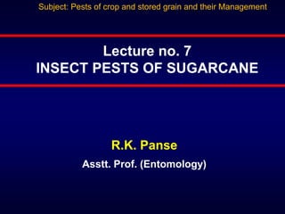 R.K. Panse
Asstt. Prof. (Entomology)
Lecture no. 7
INSECT PESTS OF SUGARCANE
Subject: Pests of crop and stored grain and their Management
 