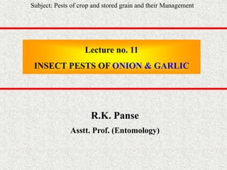 Lecture no. 11
INSECT PESTS OF ONION & GARLIC
R.K. Panse
Asstt. Prof. (Entomology)
Subject: Pests of crop and stored grain and their Management
 