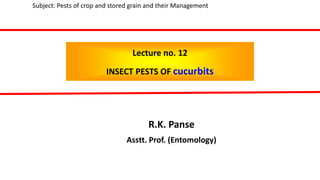 Lecture no. 12
INSECT PESTS OF cucurbits
R.K. Panse
Asstt. Prof. (Entomology)
Subject: Pests of crop and stored grain and their Management
 