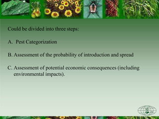 Could be divided into three steps:
A. Pest Categorization
B. Assessment of the probability of introduction and spread
C. Assessment of potential economic consequences (including
environmental impacts).
 