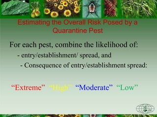 Estimating the Overall Risk Posed by a
Quarantine Pest
For each pest, combine the likelihood of:
- entry/establishment/ spread, and
- Consequence of entry/establishment spread:
“Extreme” “High” “Moderate” “Low”
 