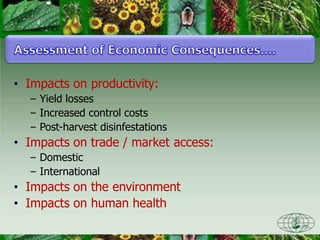 • Impacts on productivity:
– Yield losses
– Increased control costs
– Post-harvest disinfestations
• Impacts on trade / market access:
– Domestic
– International
• Impacts on the environment
• Impacts on human health
 