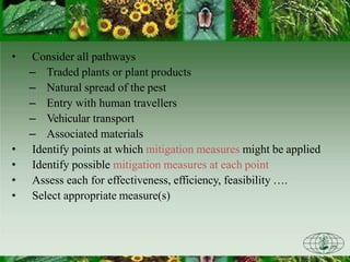 • Consider all pathways
– Traded plants or plant products
– Natural spread of the pest
– Entry with human travellers
– Vehicular transport
– Associated materials
• Identify points at which mitigation measures might be applied
• Identify possible mitigation measures at each point
• Assess each for effectiveness, efficiency, feasibility ….
• Select appropriate measure(s)
 