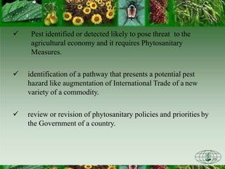  Pest identified or detected likely to pose threat to the
agricultural economy and it requires Phytosanitary
Measures.
 identification of a pathway that presents a potential pest
hazard like augmentation of International Trade of a new
variety of a commodity.
 review or revision of phytosanitary policies and priorities by
the Government of a country.
 