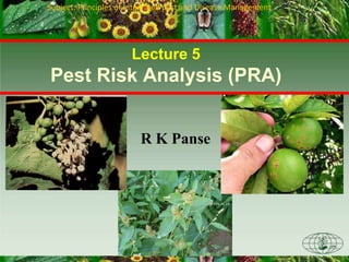 CFIA-ACIA
Lecture 5
Pest Risk Analysis (PRA)
R K Panse
Subject: Principles of Integrated pest and Disease Management
 